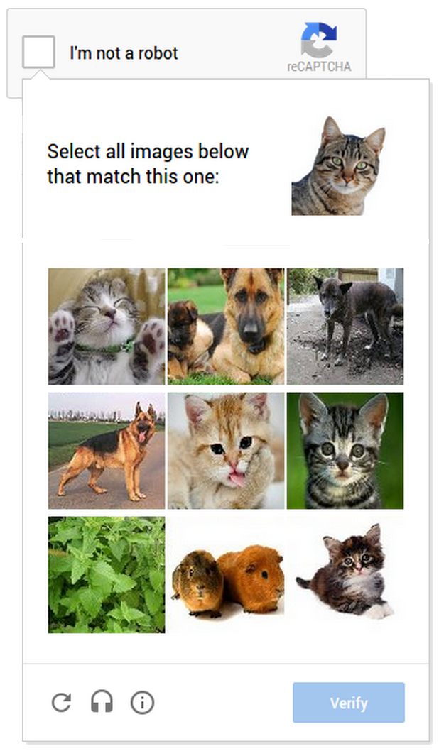 cat_captcha.png